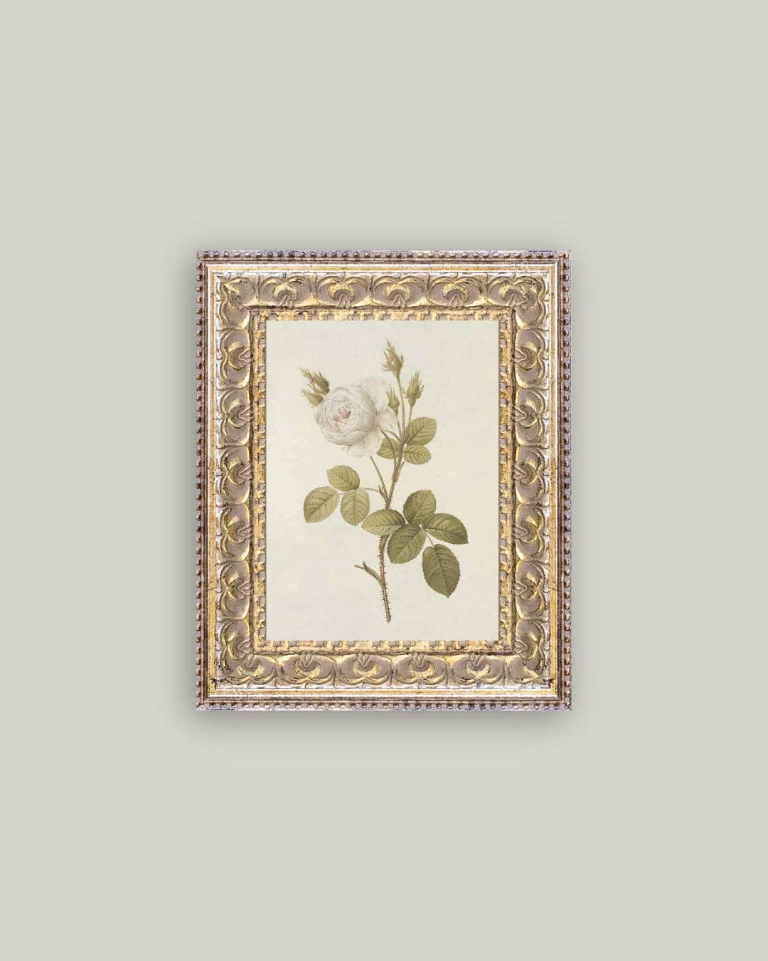 Misty Rose Framed Art 5x7