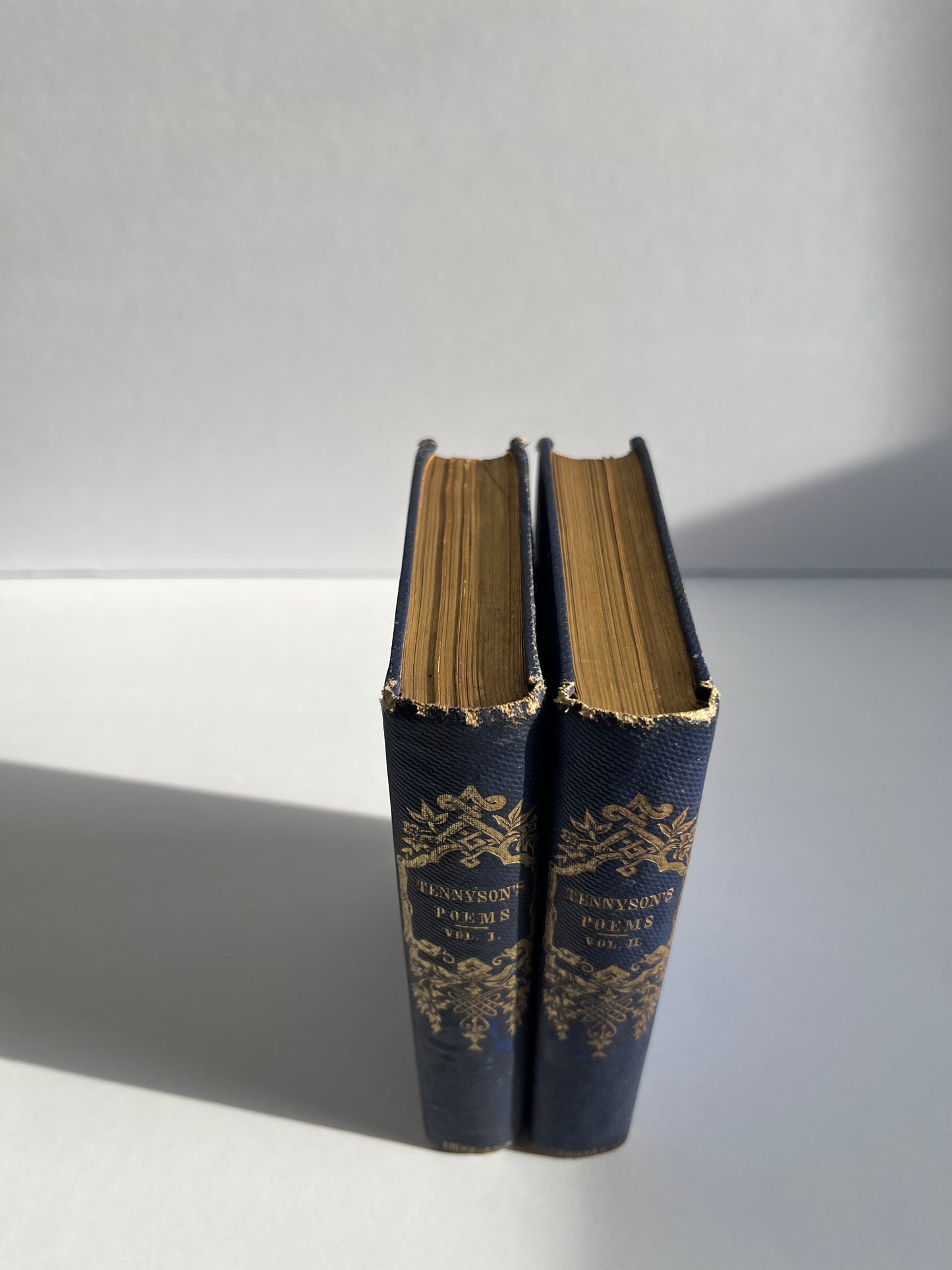 Poetical Works of Alfred Tennyson