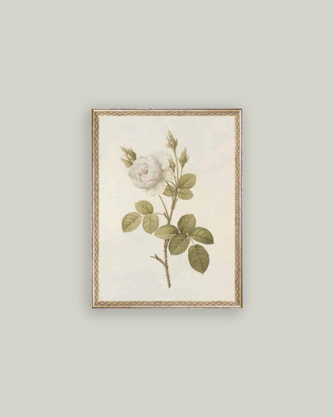 Misty Rose Framed Art 8x10