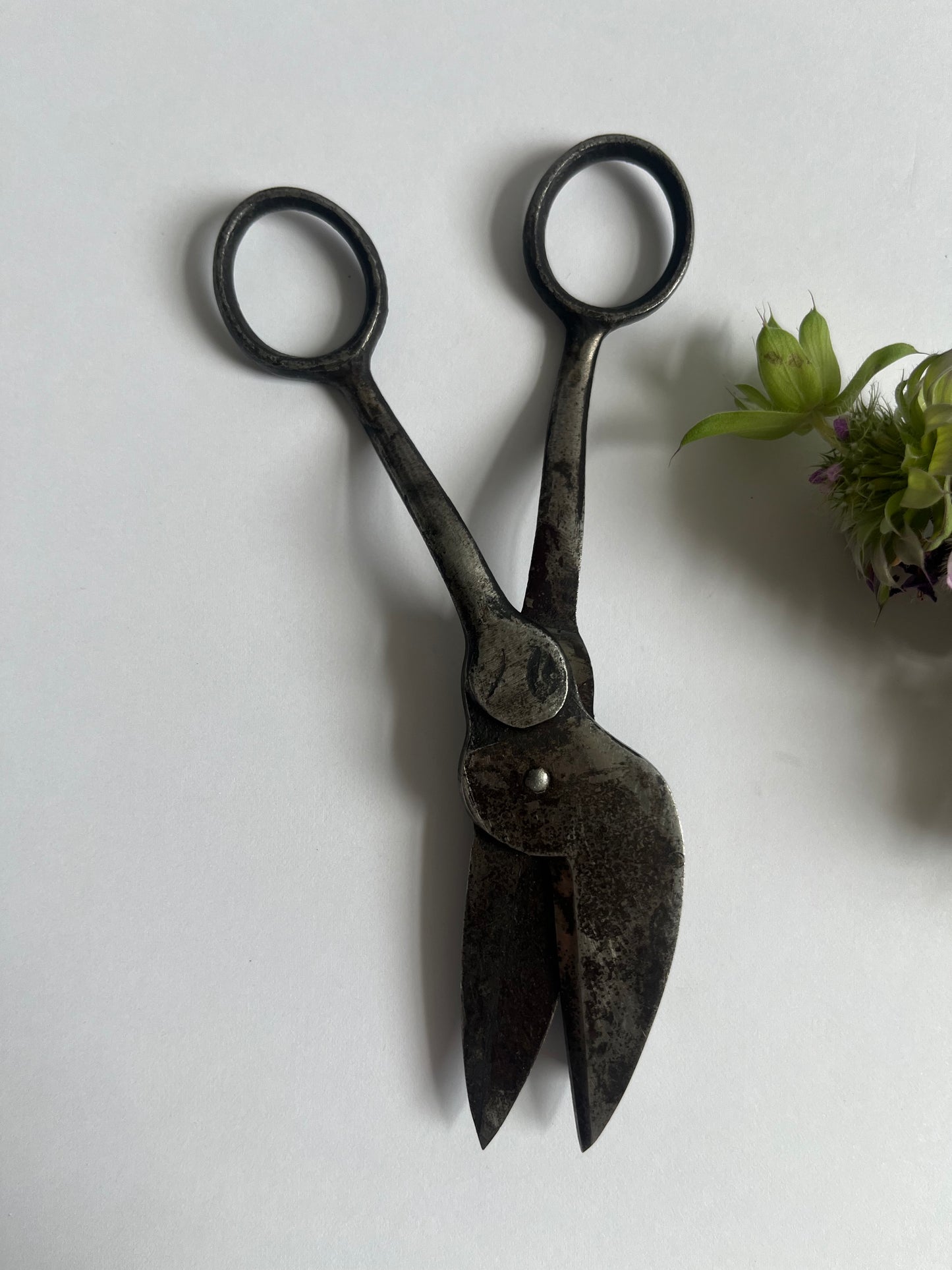 1800's Candle Wick Scissors