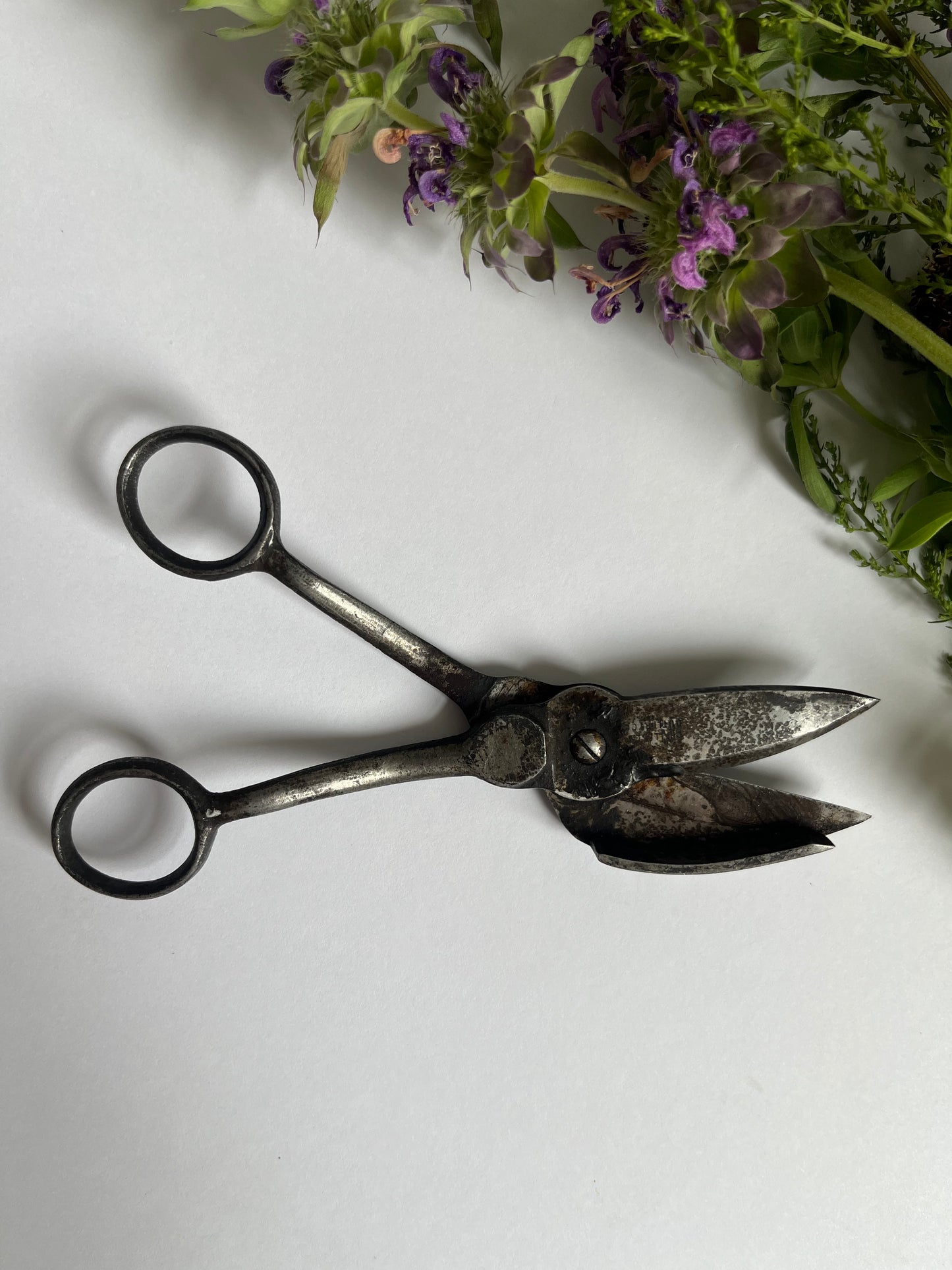 1800's Candle Wick Scissors