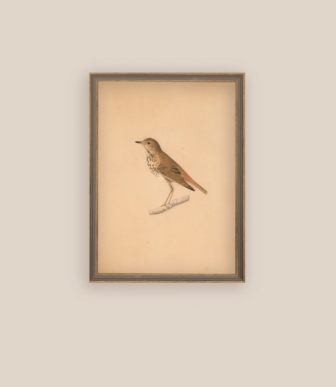 Bird Art