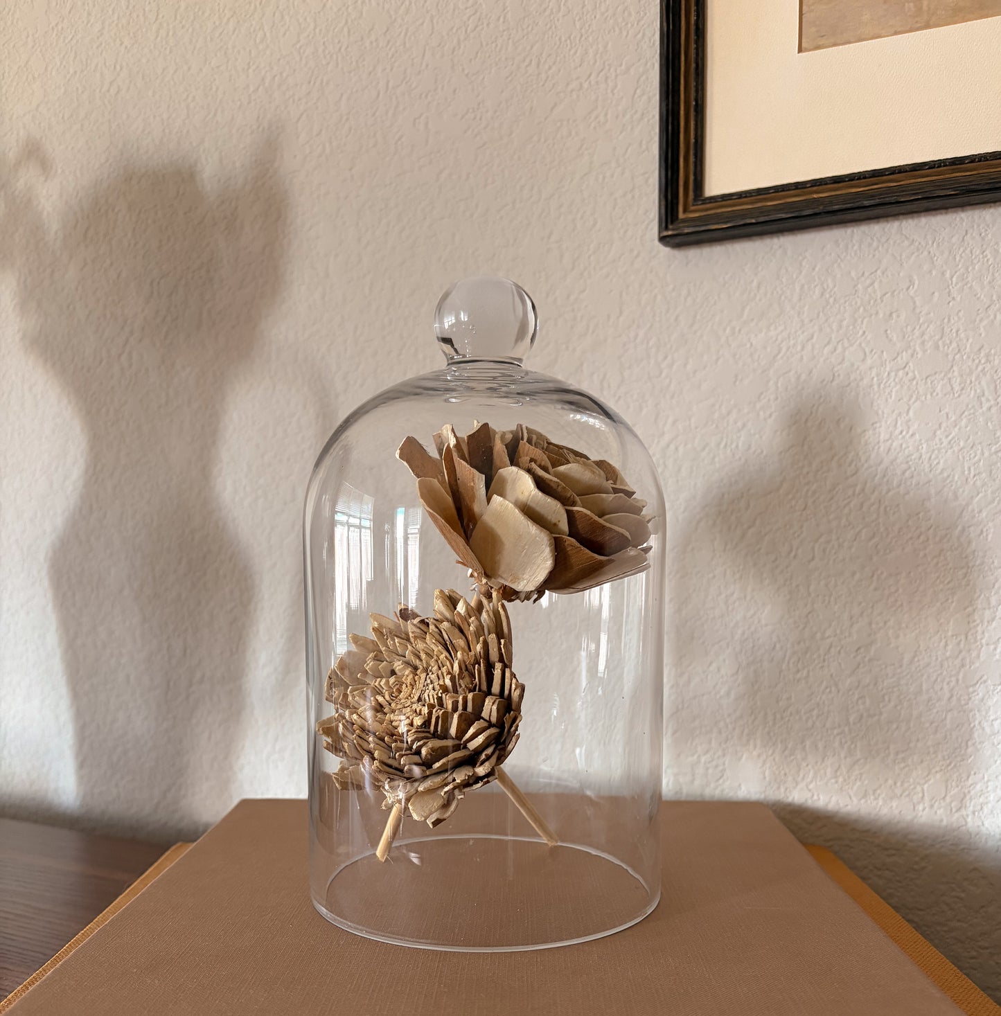 Vintage Glass Cloche