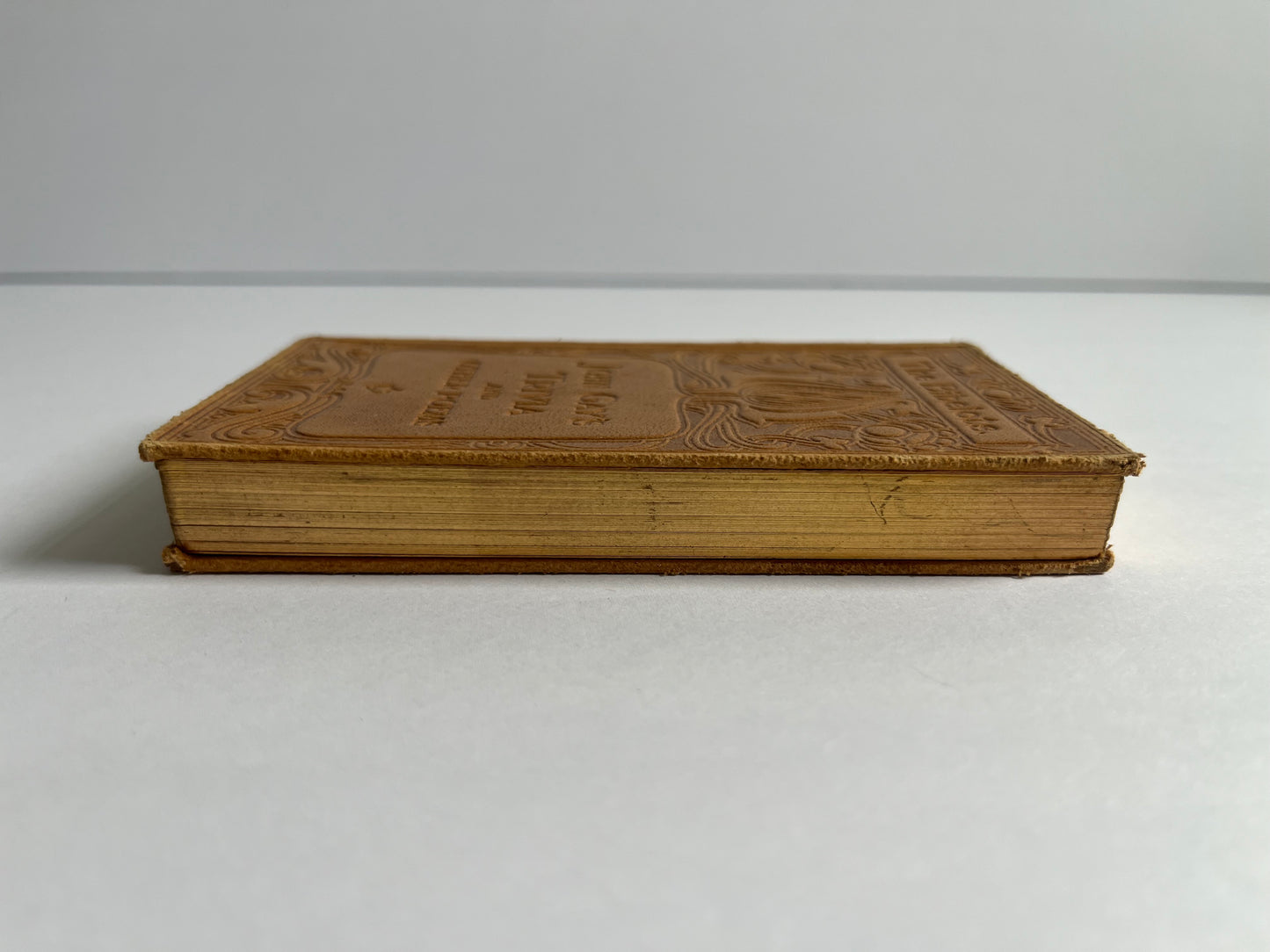 John Gay's Trivia and Other Poems
