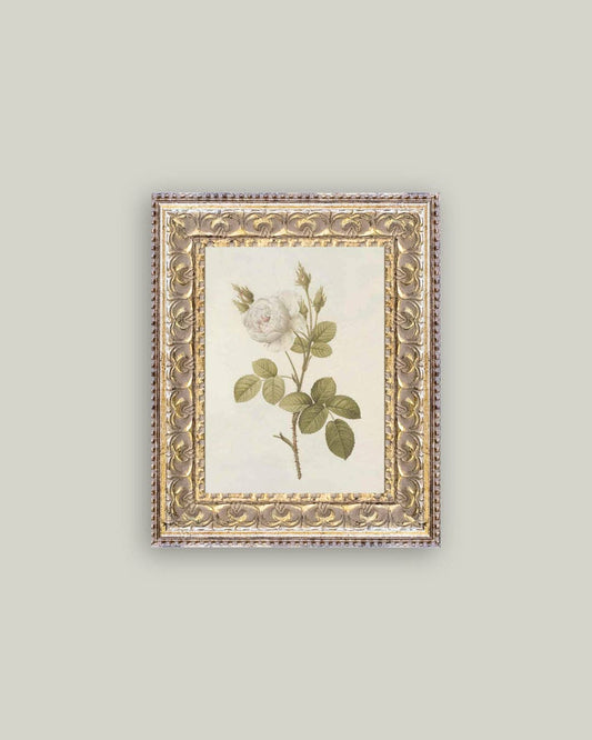 Misty Rose Framed Art 5x7