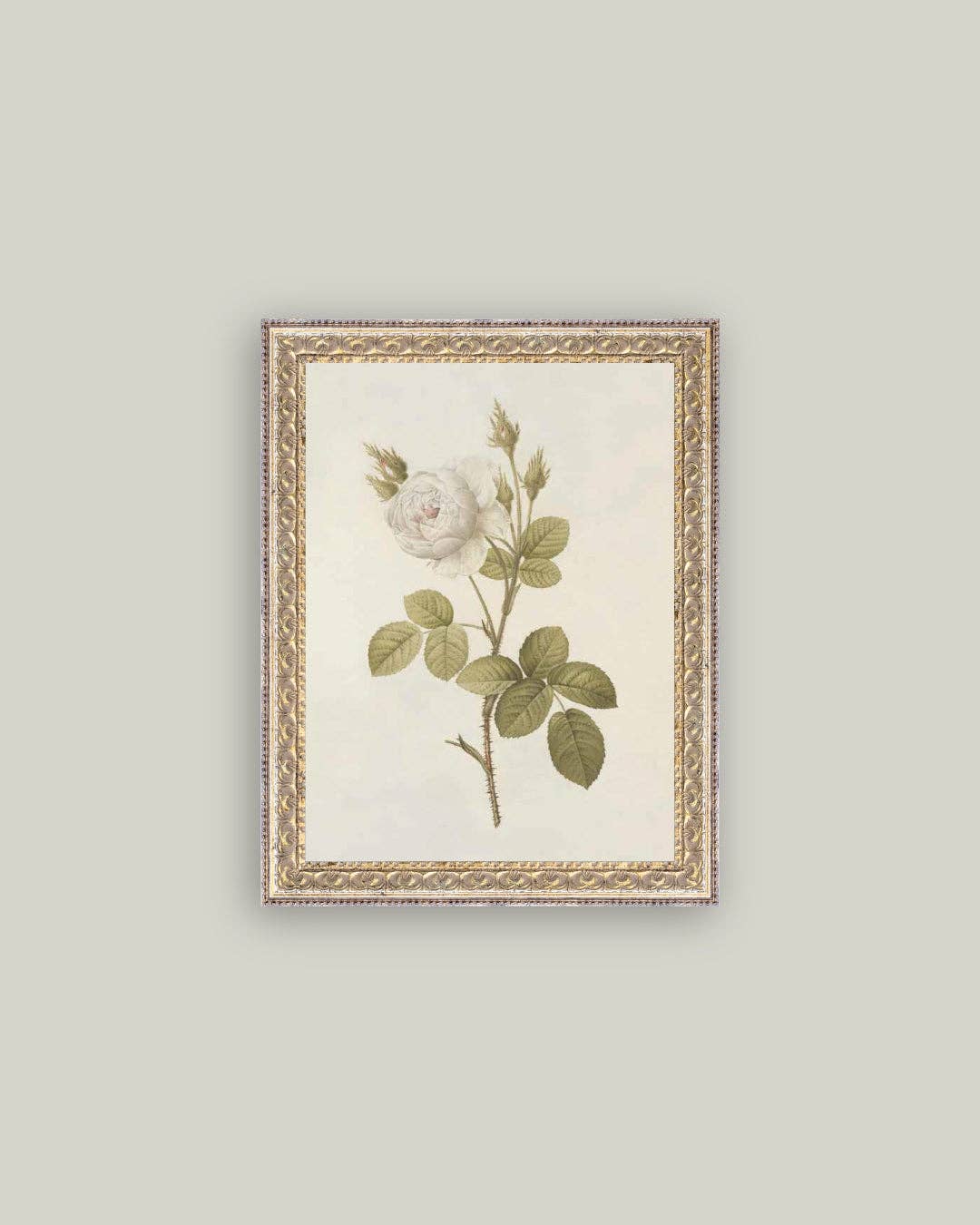 Misty Rose Framed Art 5x7