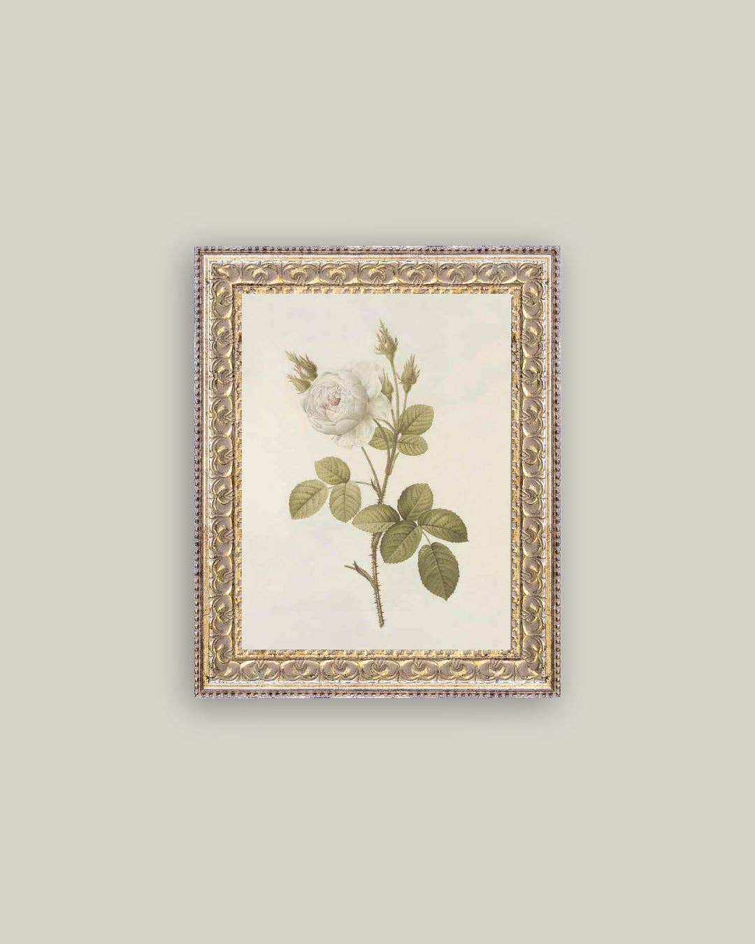 Misty Rose Framed Art 5x7
