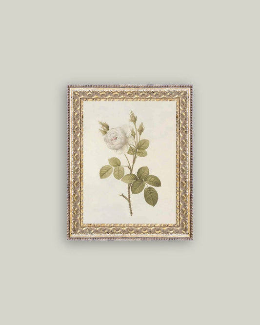Misty Rose Framed Art 8x10