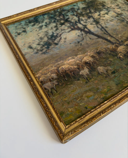 Flock of Sheep Landscape