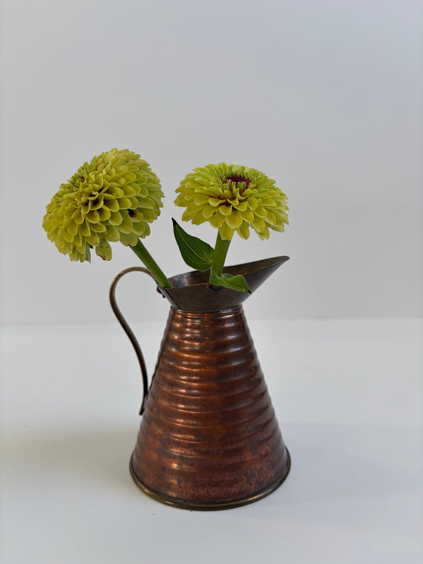 Copper Watering Can