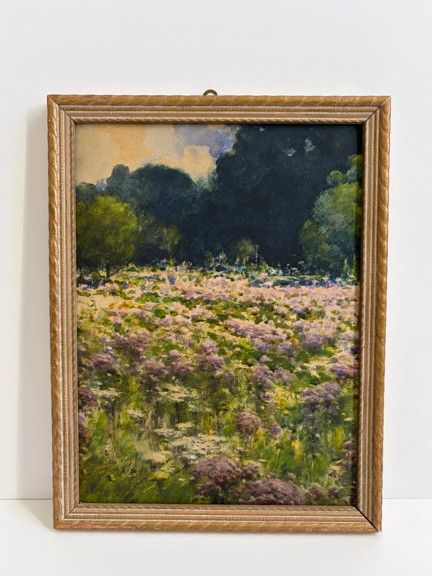 Pride of the Meadow