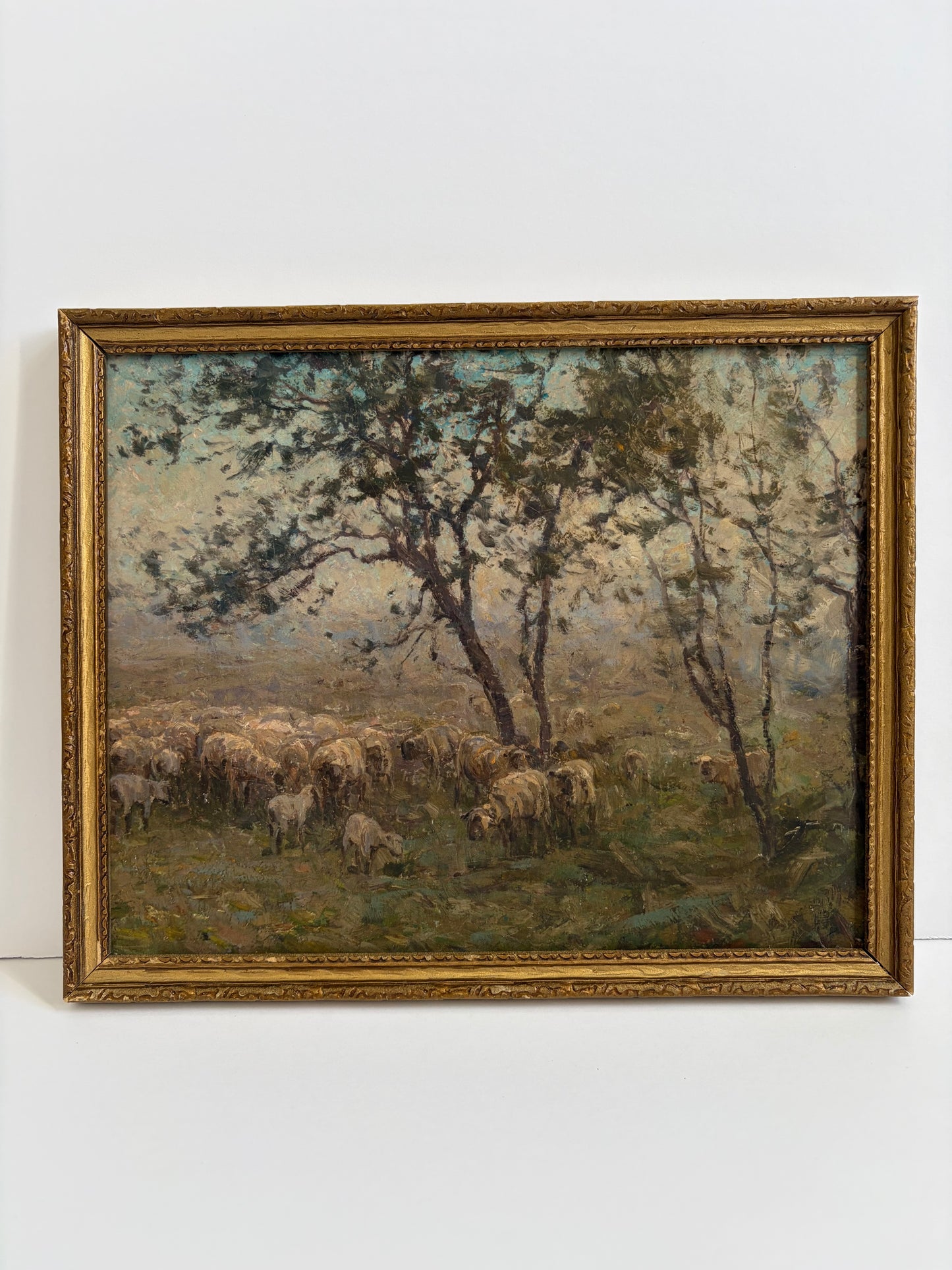 Flock of Sheep Landscape