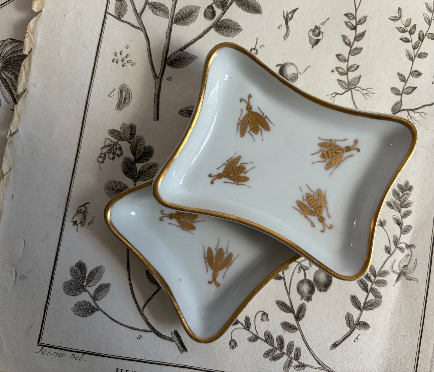 Trinket Dish