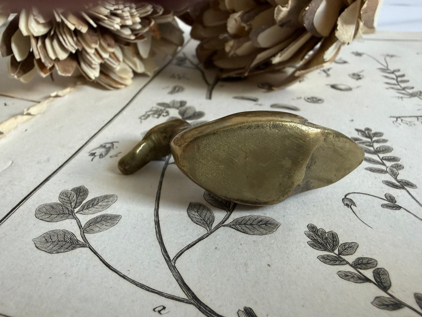 Brass Paperweight Duck