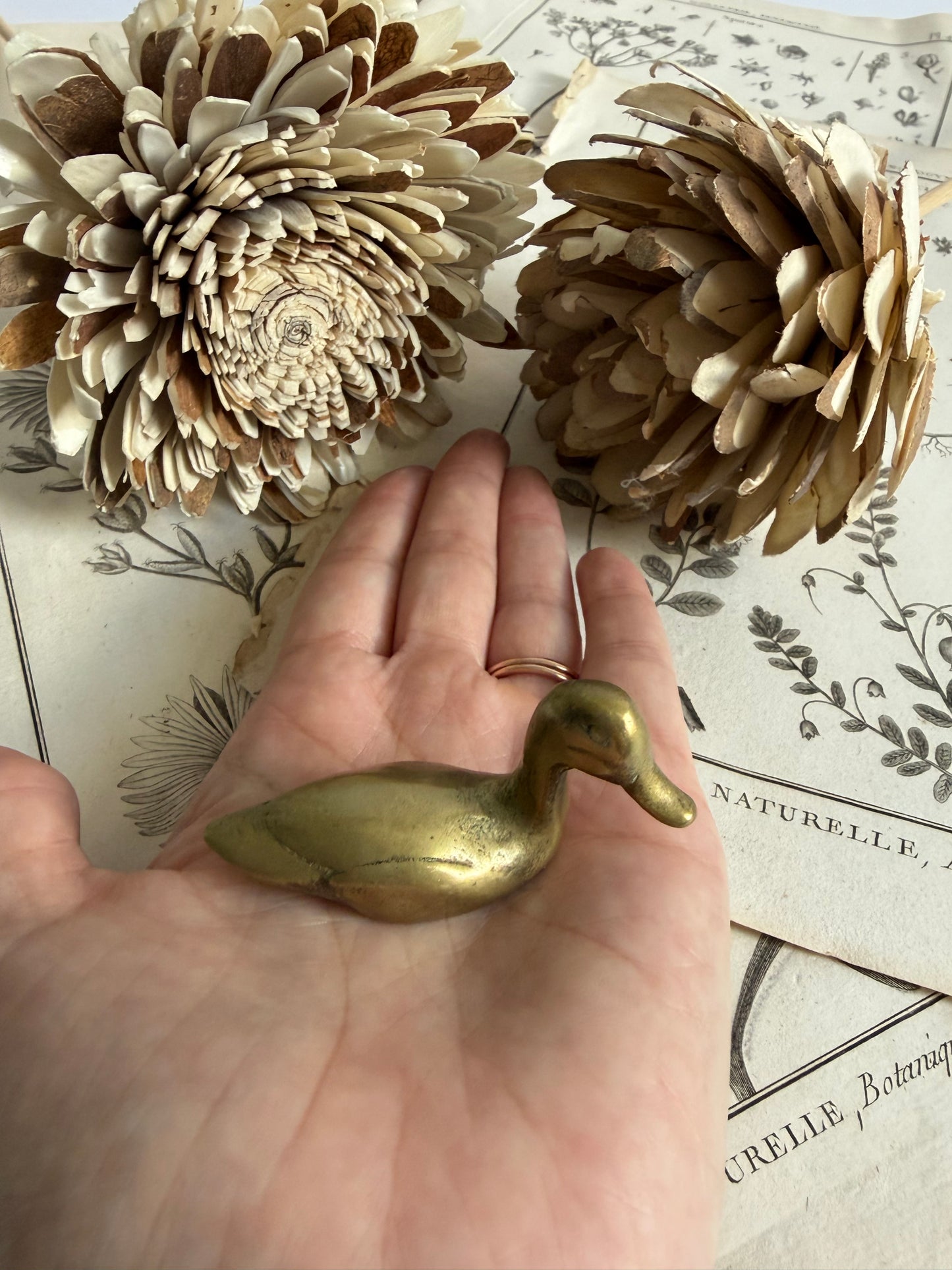 Brass Paperweight Duck