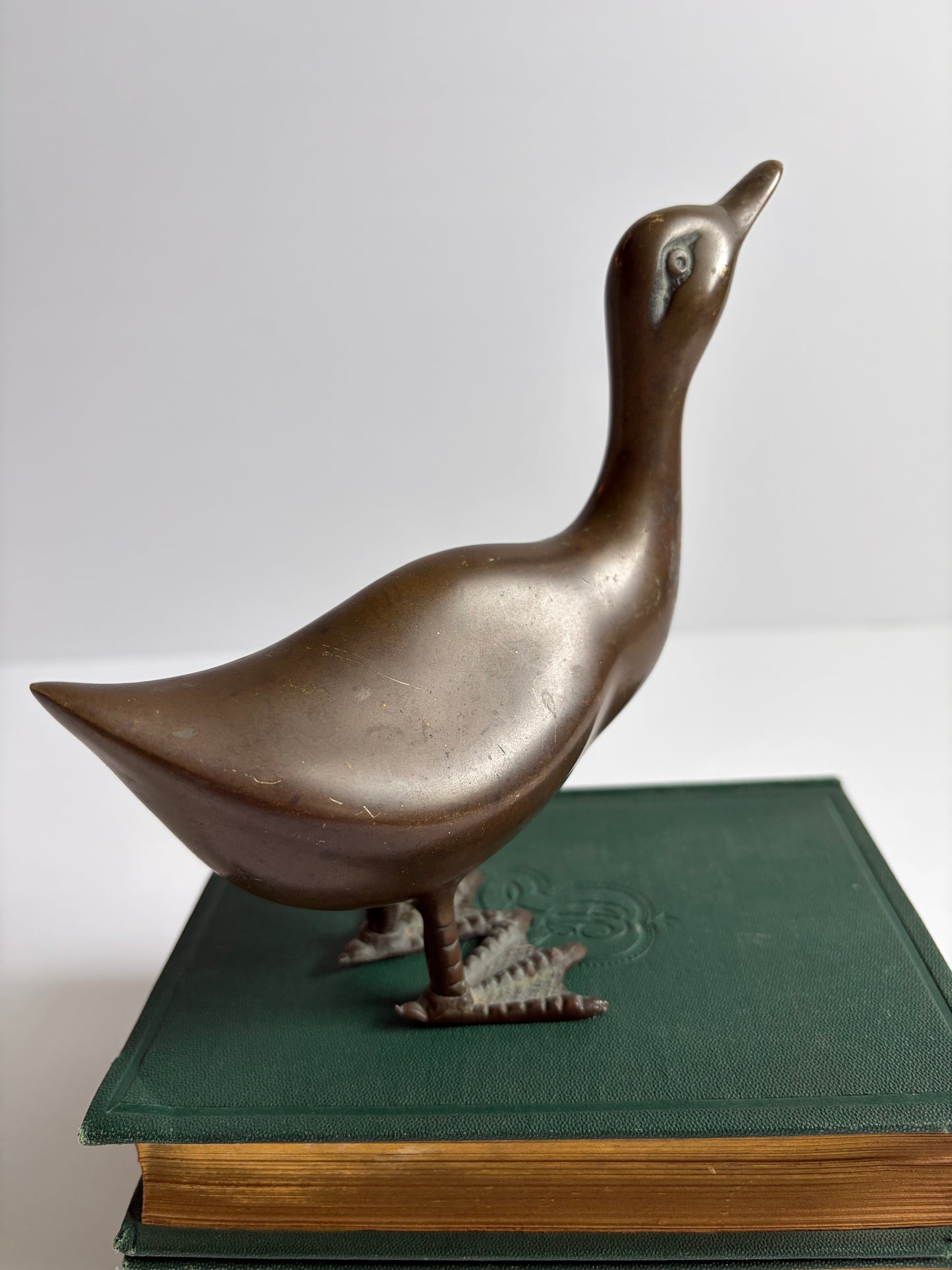 Brass Duck