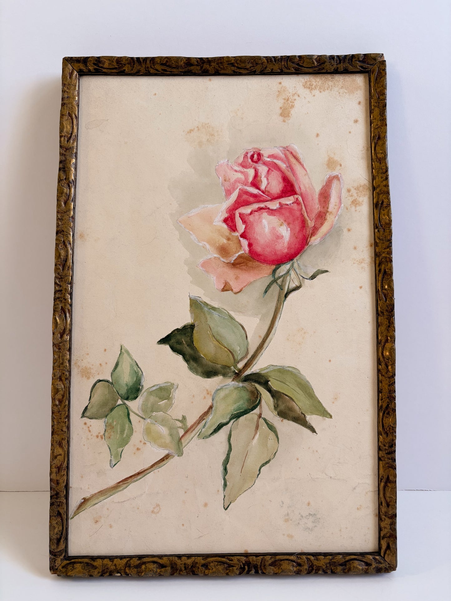Late 1800s Rose