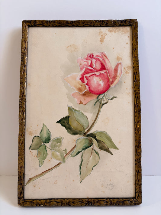 Late 1800s Rose