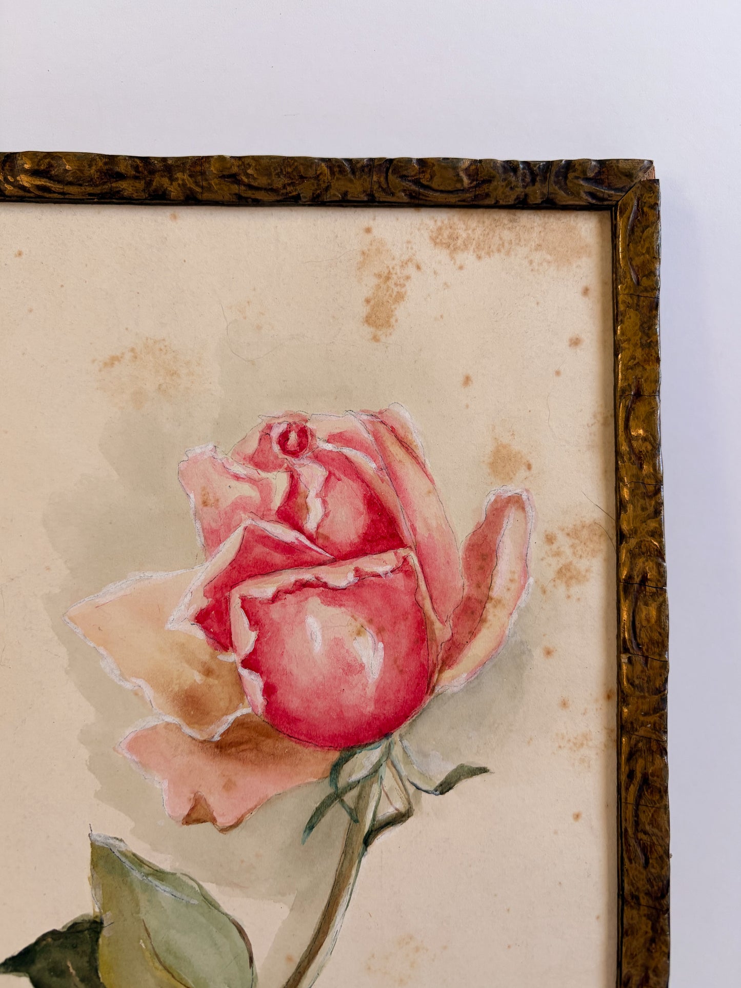 Late 1800s Rose