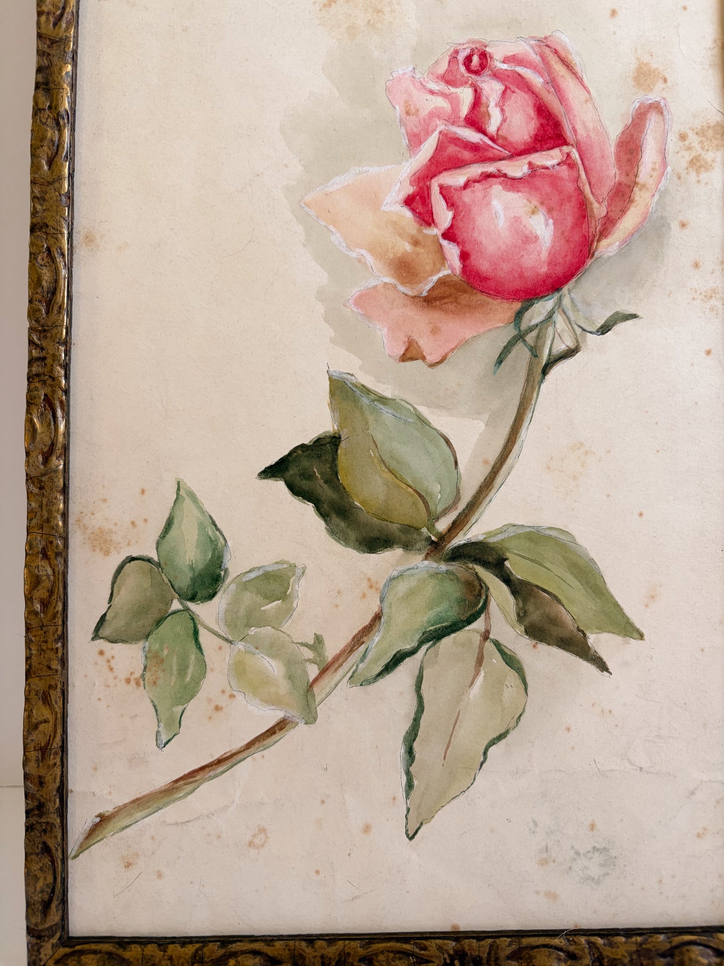 Late 1800s Rose