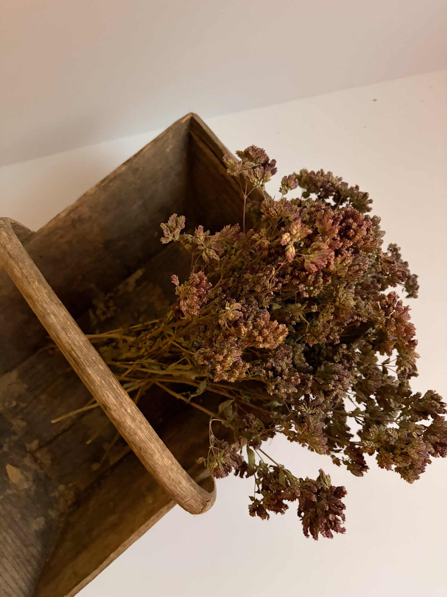 French Trug