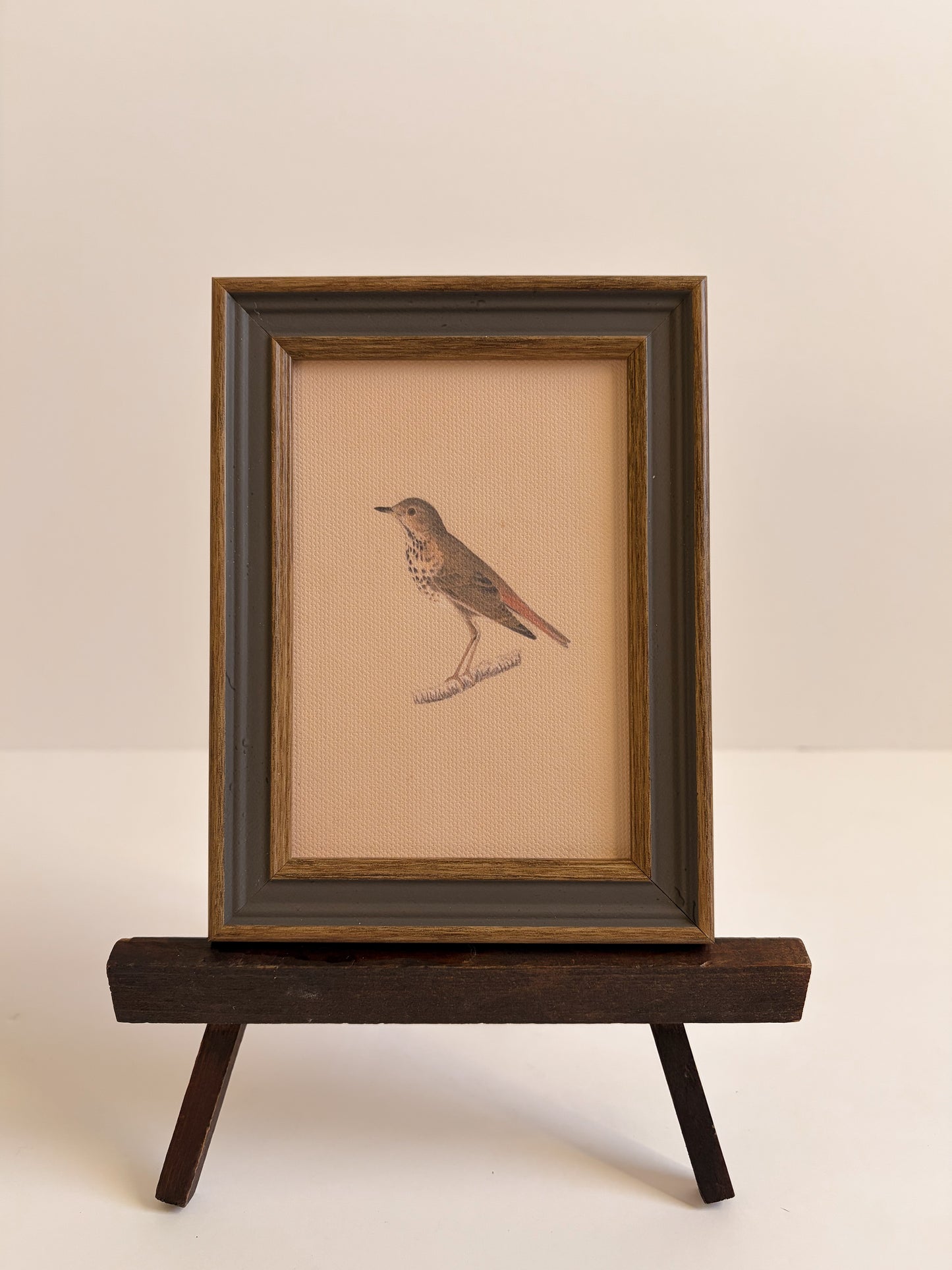 Bird Art