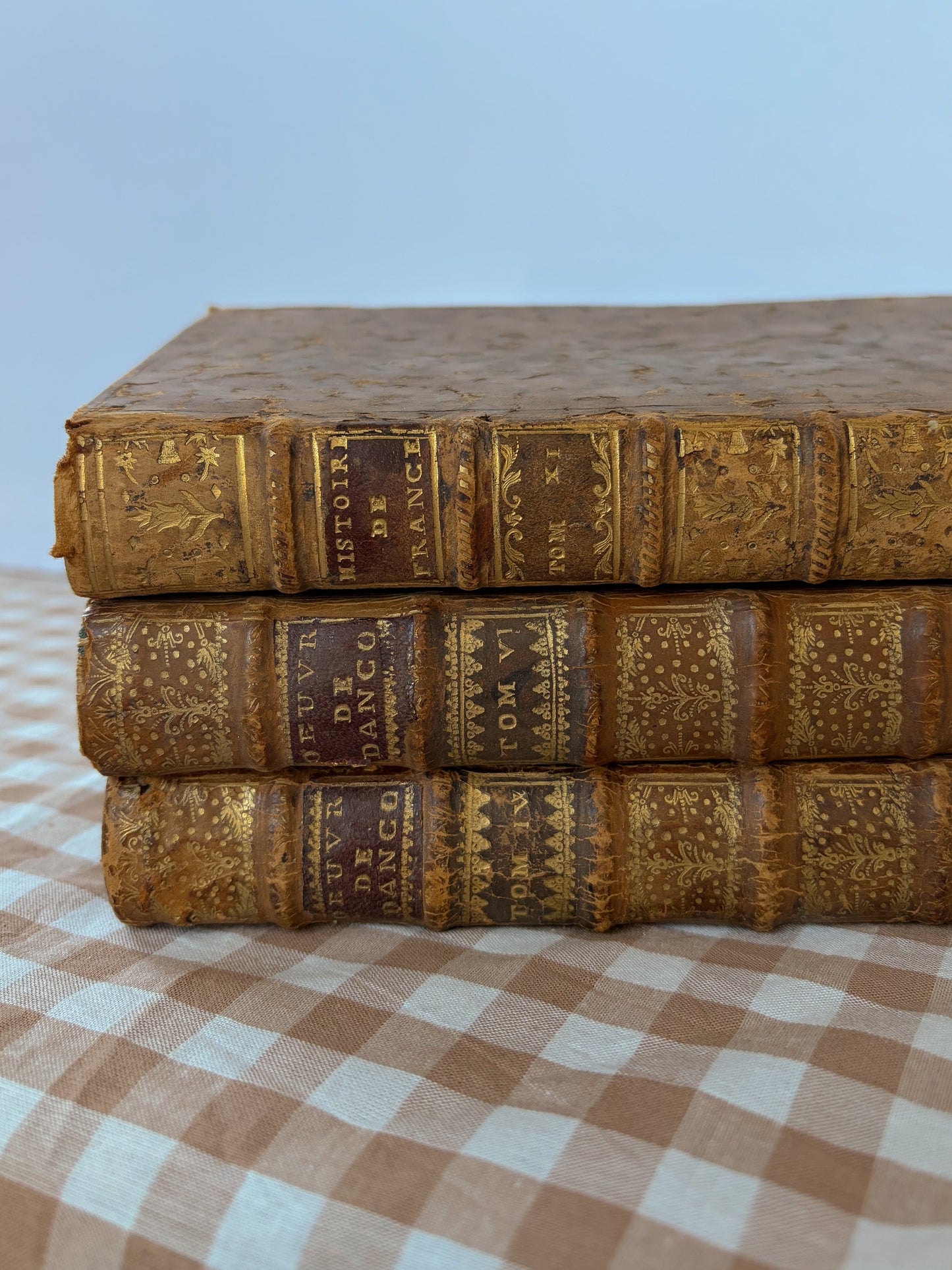 French Leather Book Set of 3
