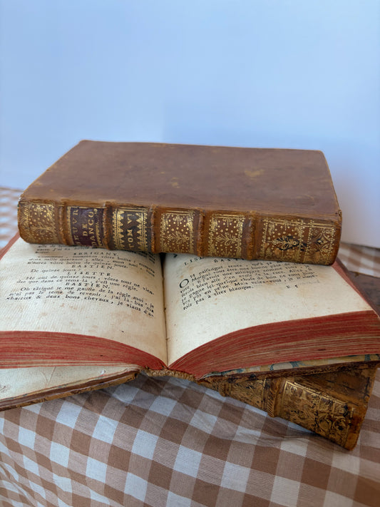 French Leather Book Set of 3