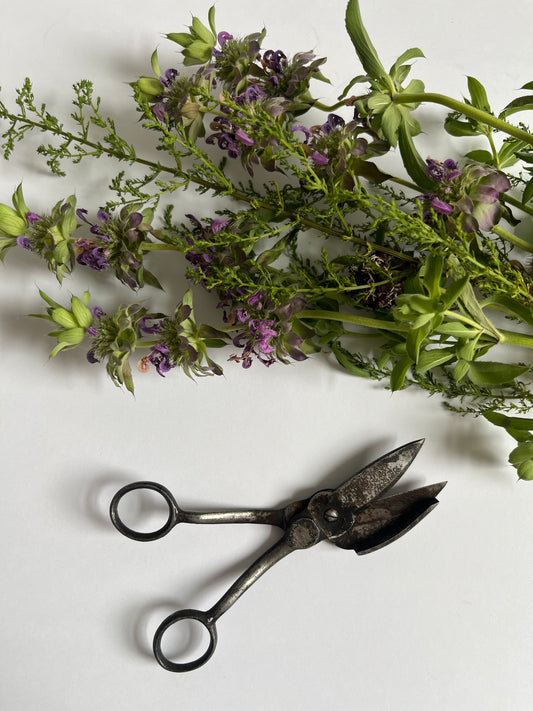 1800's Candle Wick Scissors